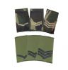 Rank Slides